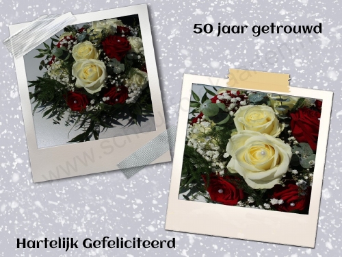 SFK 865A