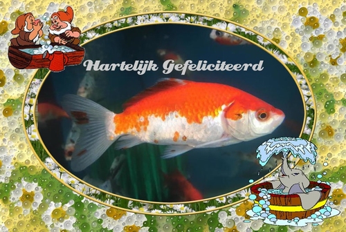 SFK 319