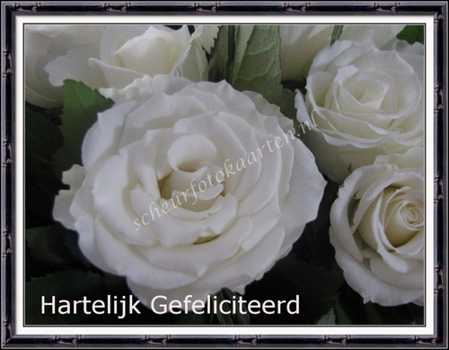 SFK 244A