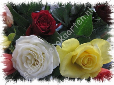 SFK B082